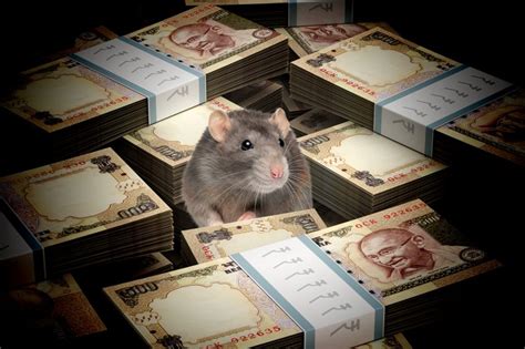 Rat S Money brabet